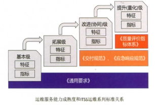 ITSS符合性評估與網(wǎng)絡(luò)技術(shù)服務(wù) 推動(dòng)信息服務(wù)的標(biāo)準(zhǔn)化與高質(zhì)量發(fā)展